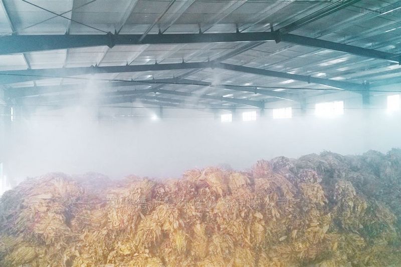 提升煙葉加工質量，高效回潮很重要