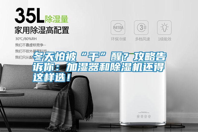 冬天怕被“干”醒？攻略告訴你：加濕器和除濕機還得這樣選！