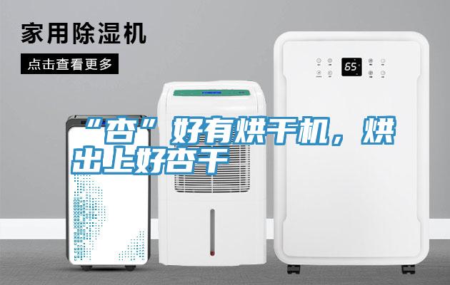 “杏”好有烘干機，烘出上好杏干