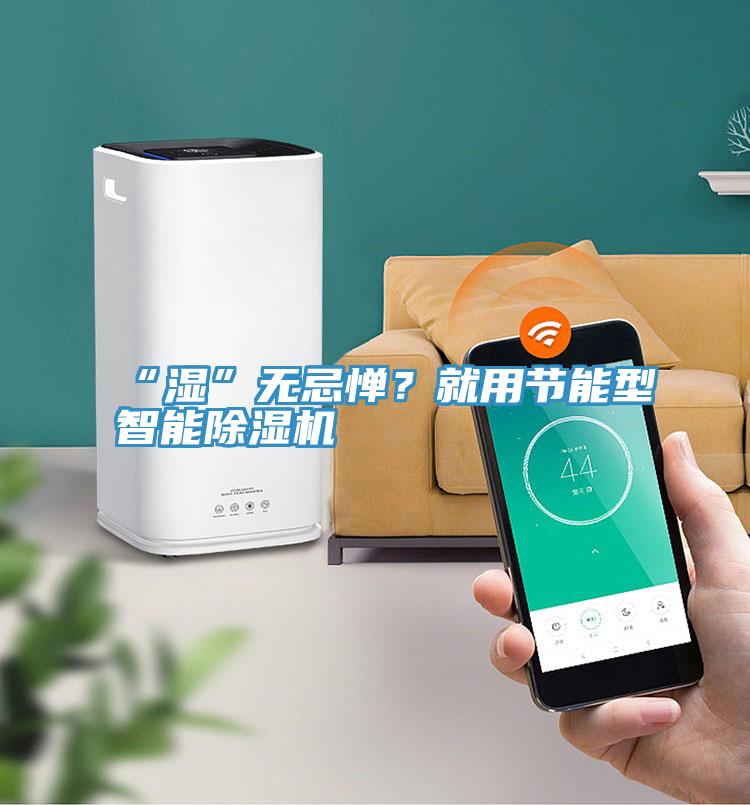 “濕”無忌憚？就用節能型智能除濕機