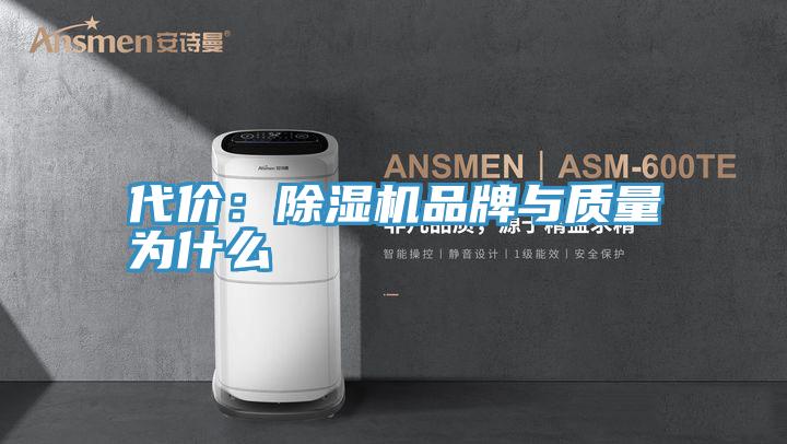 代價：除濕機品牌與質(zhì)量為什么