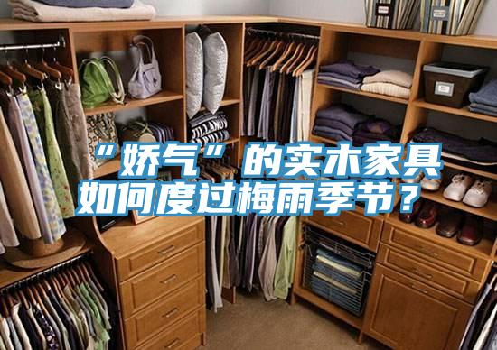 “嬌氣”的實木家具如何度過梅雨季節？