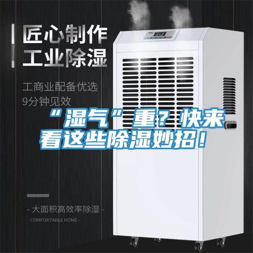 “濕氣”重？快來看這些除濕妙招！