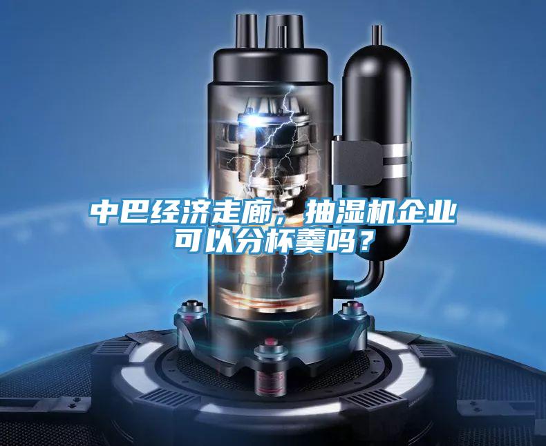 中巴經濟走廊，抽濕機企業可以分杯羹嗎？