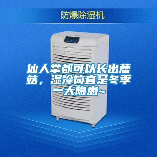 仙人掌都可以長出蘑菇,濕冷簡直是冬季一大隱患~