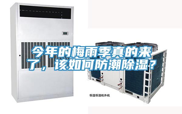 今年的梅雨季真的來了，該如何防潮除濕？