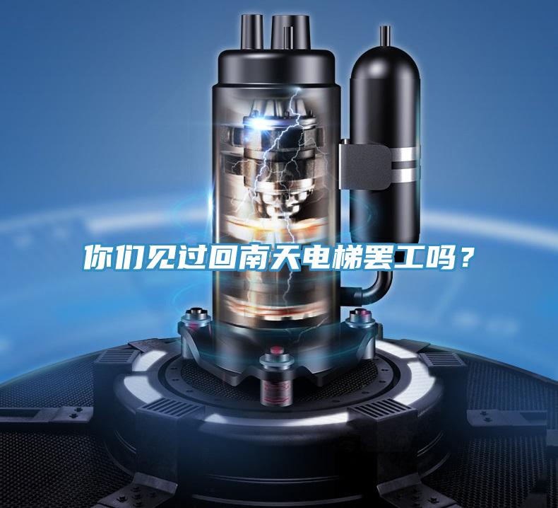 你們見過回南天電梯罷工嗎?