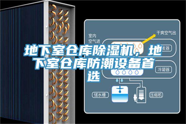 地下室倉庫除濕機,地下室倉庫防潮設備首選
