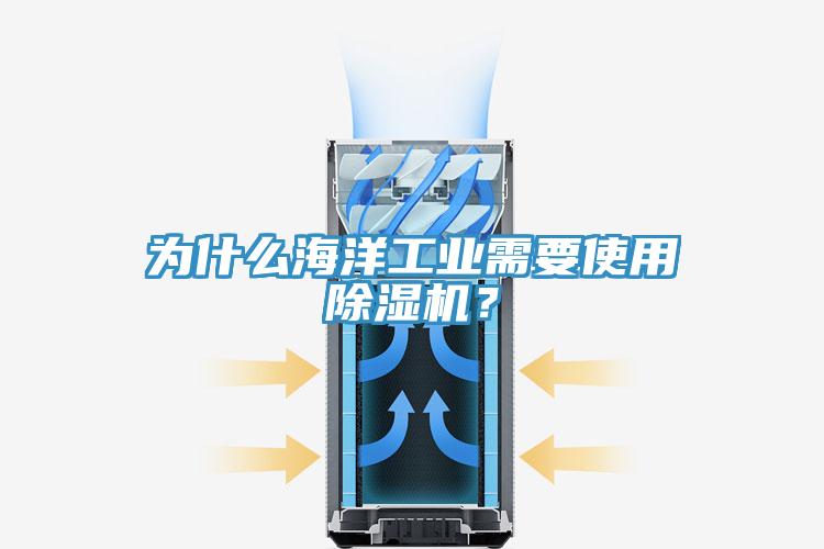 為什么海洋工業(yè)需要使用除濕機？