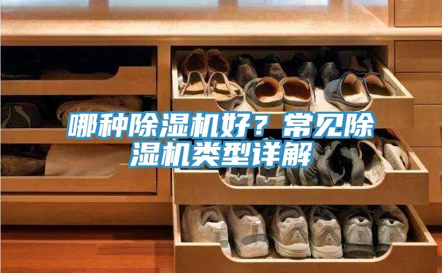 哪種除濕機好？常見除濕機類型詳解