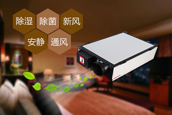 雙十一剛過,雙十二如約而至,濕冷還受得了嗎?