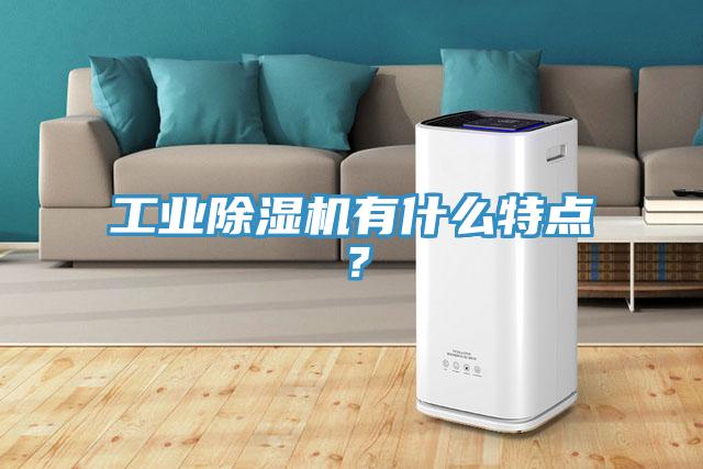 工業(yè)除濕機(jī)有什么特點(diǎn)？