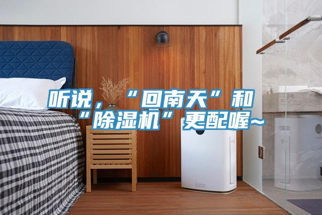 聽說,“回南天”和“除濕機”更配喔~
