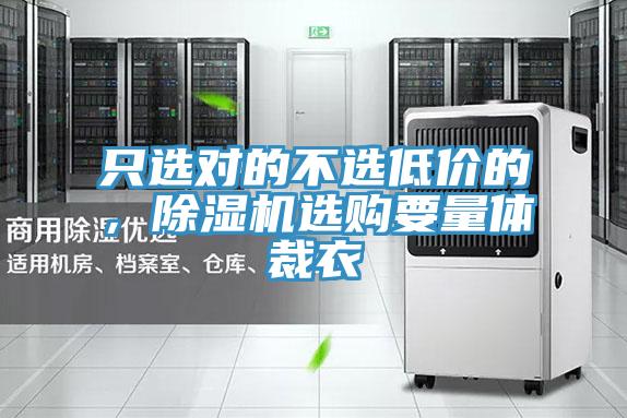 只選對的不選低價的，除濕機選購要量體裁衣