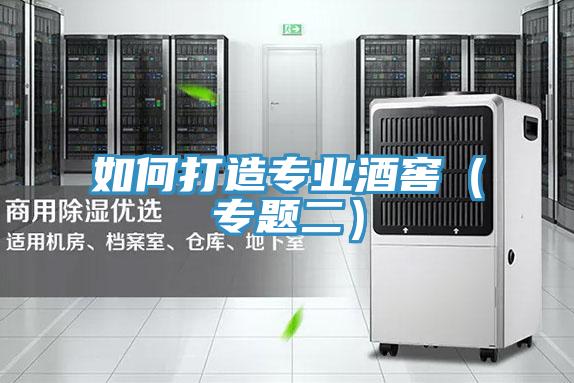 如何打造專(zhuān)業(yè)酒窖(專(zhuān)題二)