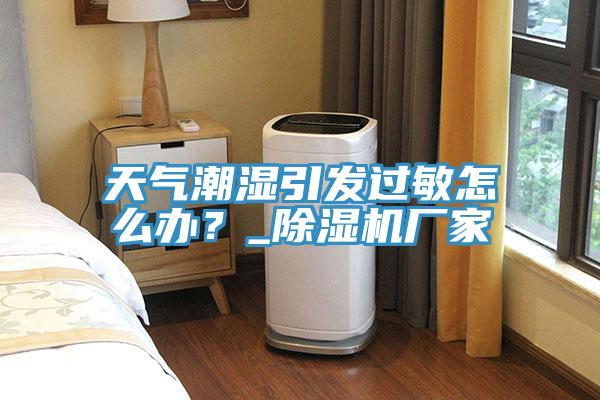 天氣潮濕引發(fā)過敏怎么辦？_除濕機(jī)廠家