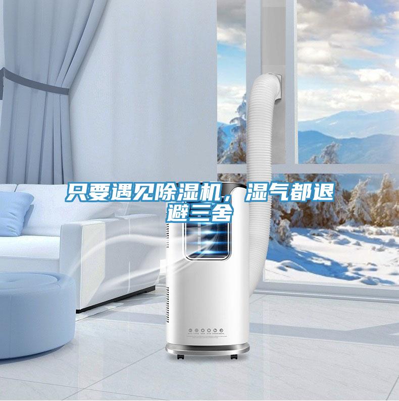只要遇見除濕機，濕氣都退避三舍