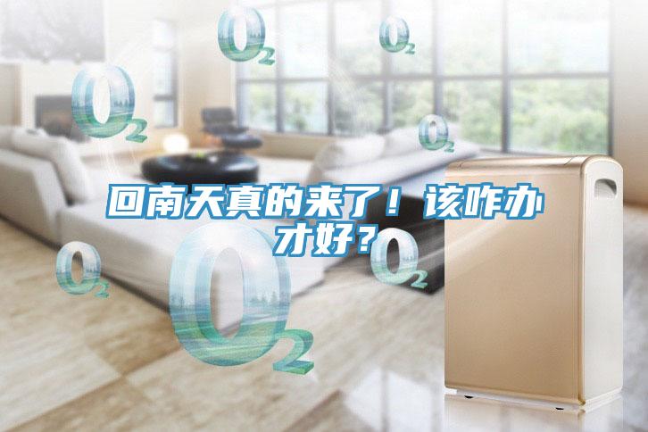 回南天真的來(lái)了!該咋辦才好?