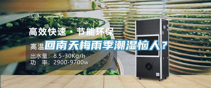 回南天梅雨季潮濕惱人？