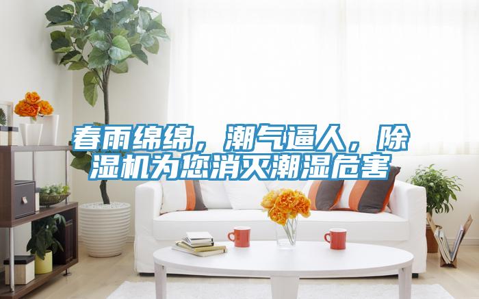 春雨綿綿，潮氣逼人，除濕機(jī)為您消滅潮濕危害