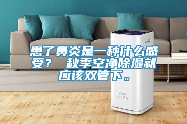 患了鼻炎是一種什么感受？ 秋季空凈除濕就應該雙管下。