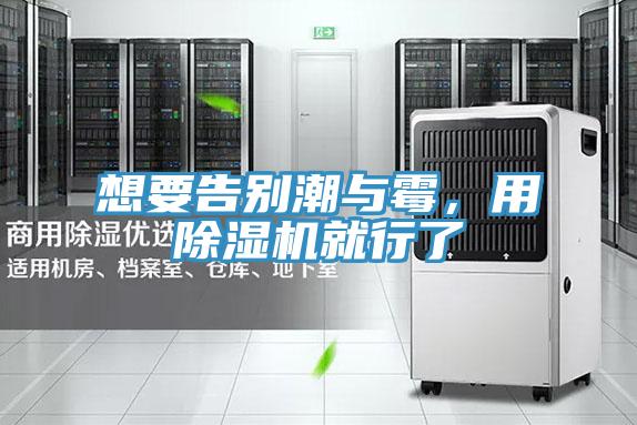 想要告別潮與霉,用除濕機就行了