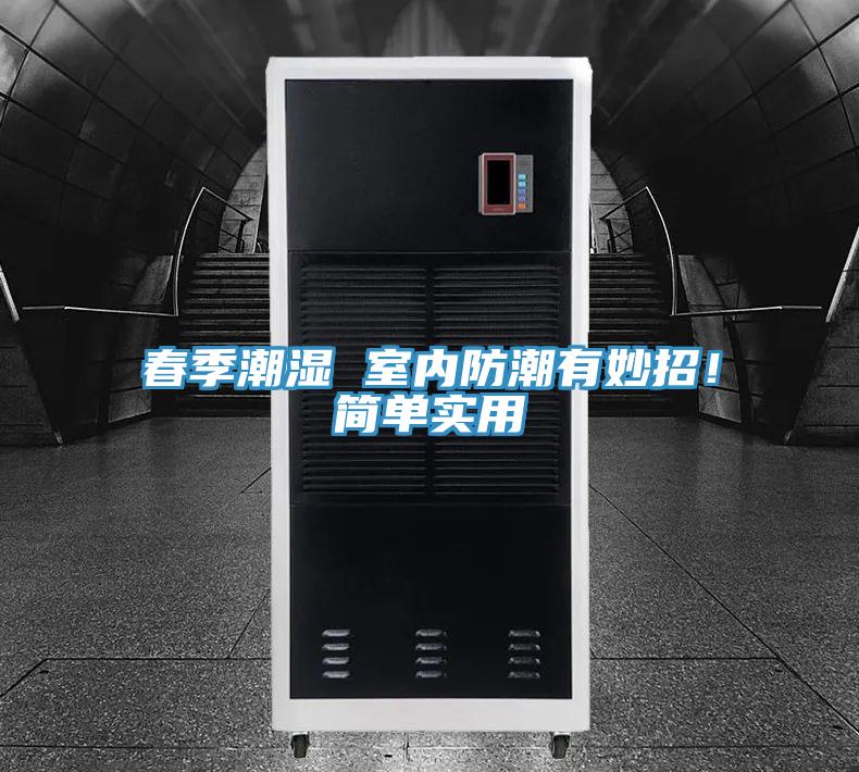 春季潮濕 室內(nèi)防潮有妙招!簡單實(shí)用