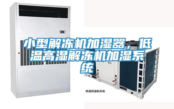 小型解凍機加濕器，低溫高濕解凍機加濕系統