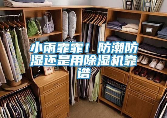 小雨霏霏！防潮防濕還是用除濕機靠譜