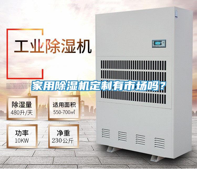 家用除濕機定制有市場嗎?