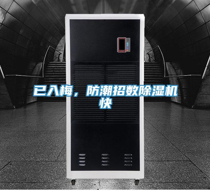 已入梅，防潮招數除濕機快