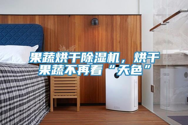 果蔬烘干除濕機，烘干果蔬不再看“天色”