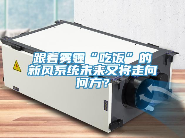 跟著霧霾“吃飯”的新風系統未來又將走向何方？