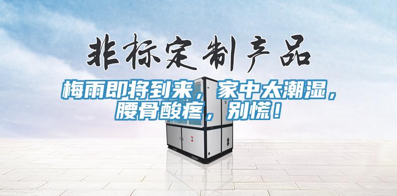 梅雨即將到來,家中太潮濕,腰骨酸疼,別慌!