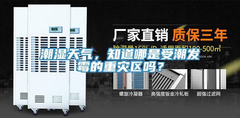 潮濕天氣，知道哪是受潮發霉的重災區嗎？