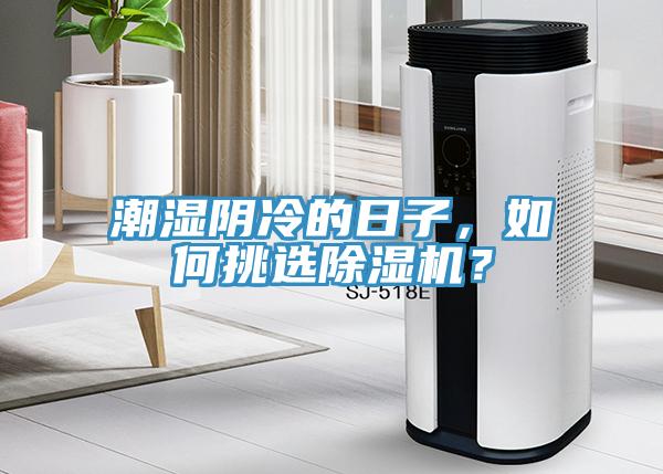潮濕陰冷的日子，如何挑選除濕機？