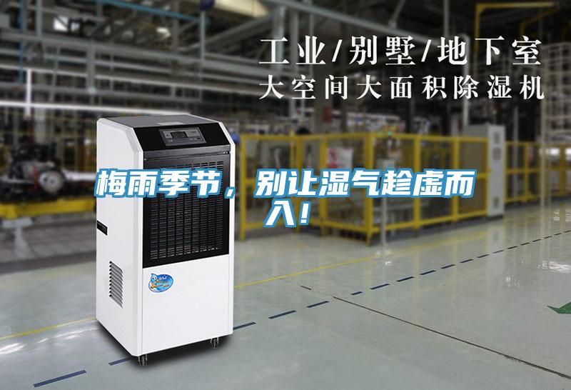 梅雨季節,別讓濕氣趁虛而入!