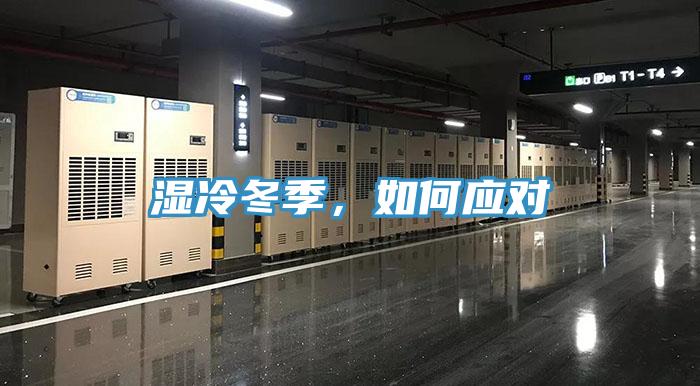 濕冷冬季，如何應對