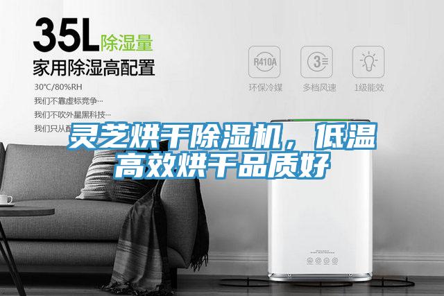 靈芝烘干除濕機,低溫高效烘干品質好