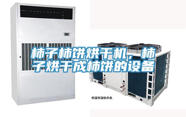 柿子柿餅烘干機,柿子烘干成柿餅的設備