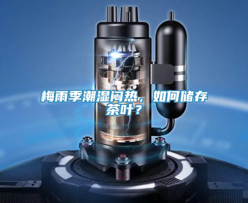 梅雨季潮濕悶熱,如何儲存茶葉?