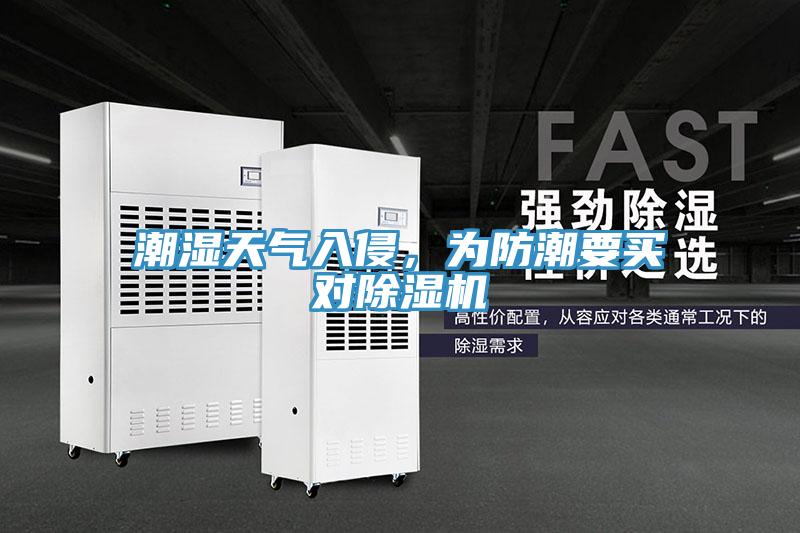 潮濕天氣入侵，為防潮要買對除濕機