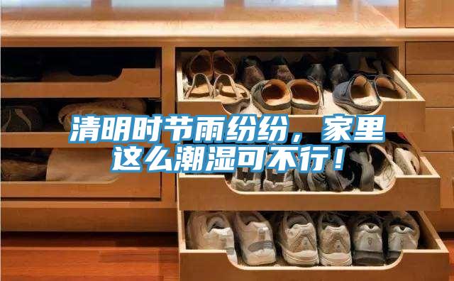 清明時(shí)節(jié)雨紛紛,家里這么潮濕可不行!