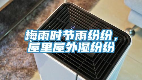 梅雨時節雨紛紛,屋里屋外濕紛紛