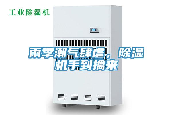 雨季潮氣肆虐，除濕機手到擒來