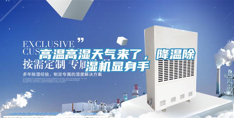 高溫高濕天氣來了，降溫除濕機顯身手