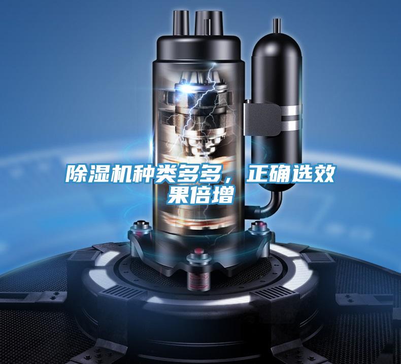 除濕機種類多多，正確選效果倍增