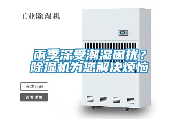 雨季深受潮濕困擾？除濕機為您解決煩惱