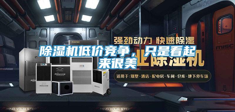 除濕機低價競爭，只是看起來很美