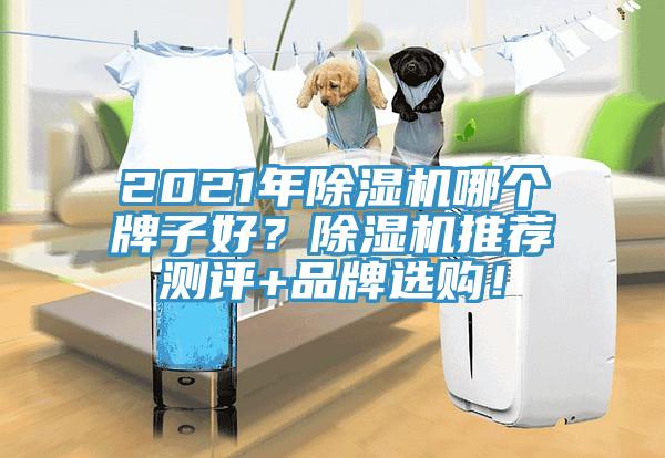 2021年除濕機哪個牌子好？除濕機推薦測評+品牌選購！